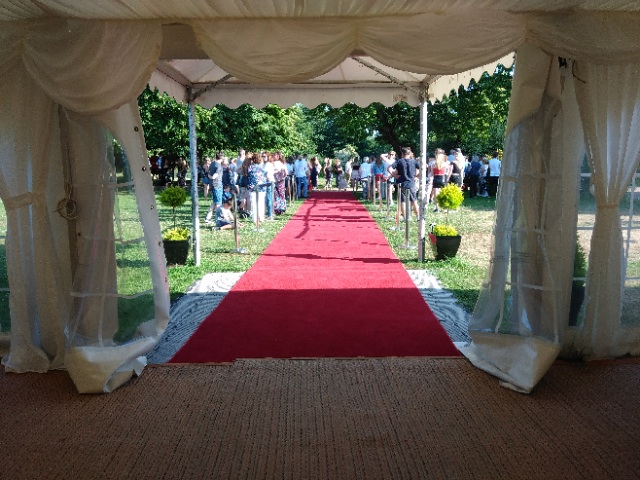 MINSTREL COURT PROM DANCE - RED CARPET