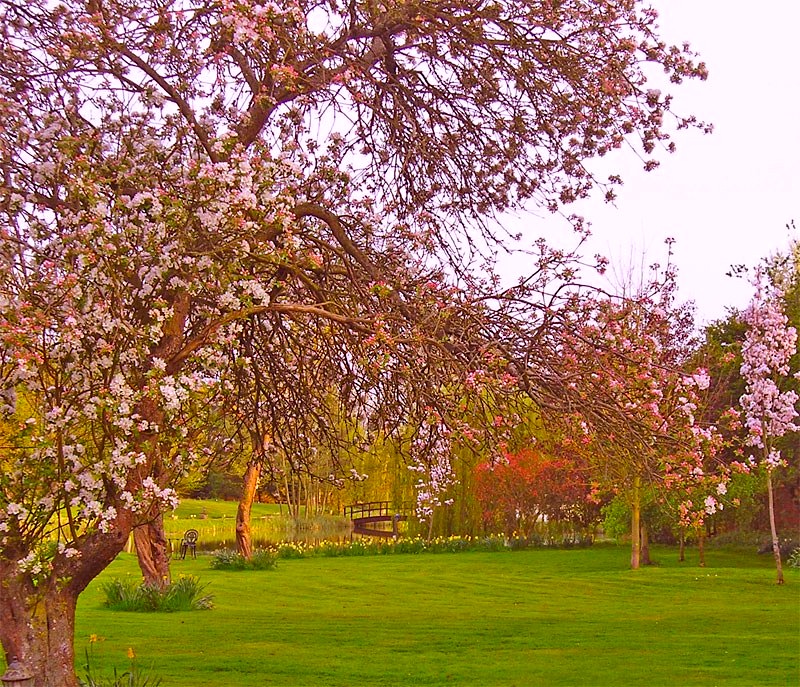 Minstrel Court Wedding - BLOSSOM IN THE SPRING