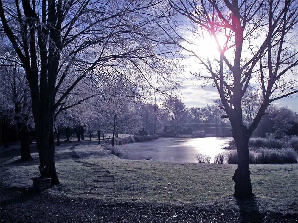 Minstrel Court Wedding - Winter over the lake