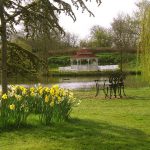 Minstrel Court Wedding - the daffodils in Spring