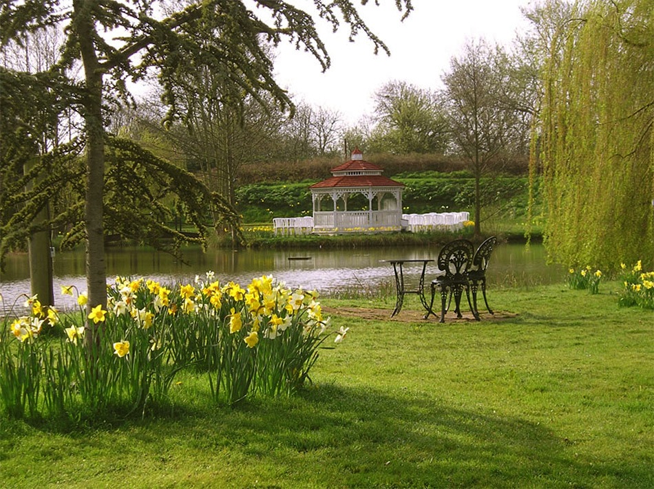 Minstrel Court Wedding - the daffodils in Spring