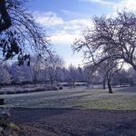 Minstrel Court Wedding - the garden in winter